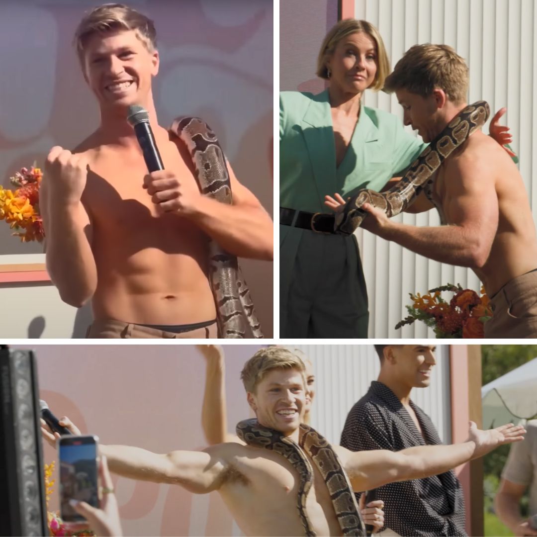 Robert Irwin DWTS
