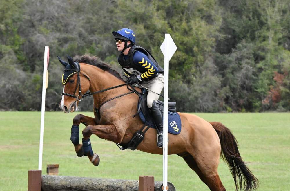 lane v rogers riding horse